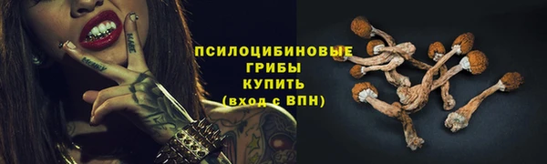 кристаллы Богородск