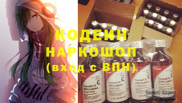 дживик Богородицк