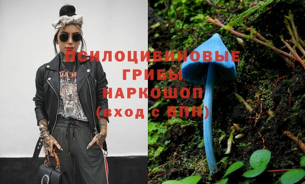 ПСИЛОЦИБИНОВЫЕ ГРИБЫ Белокуриха