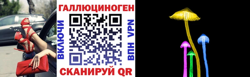 Галлюциногенные грибы Psilocybe  Белокуриха 